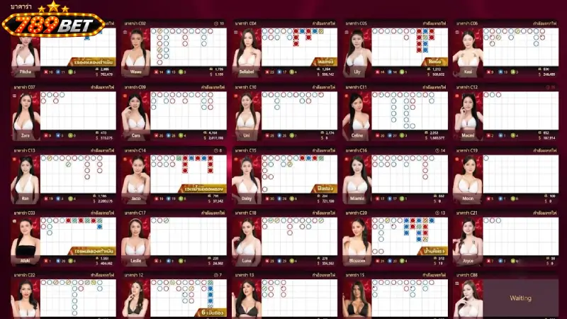 ความหลากหลายและสิทธิประโยชน์ในการเล่น บาคาร่า 789bet